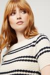 Dorothy Perkins Ivory/navy Stripe Knitted Textured Tee thumbnail 4