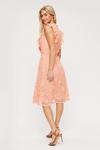 Dorothy Perkins Peach Lace Mini Dress thumbnail 3