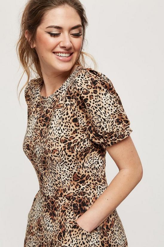 Dorothy Perkins Tall Black & Leopard 2 Pack T-shirt Dress 4