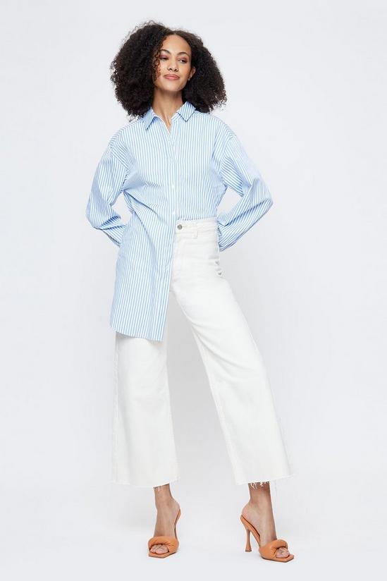 Dorothy Perkins Tall Blue Stripe Poplin Shirt 2