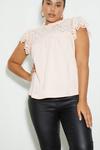 Dorothy Perkins Curve Blush Broderie Detail Jersey Top thumbnail 1