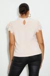 Dorothy Perkins Curve Blush Broderie Detail Jersey Top thumbnail 3