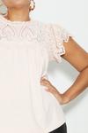 Dorothy Perkins Curve Blush Broderie Detail Jersey Top thumbnail 4