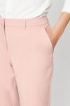 Dorothy Perkins Dusky Pink Ankle Grazer Trousers thumbnail 4
