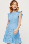 Dorothy Perkins Petite Blue Lace Fit And Flare Dress thumbnail 1