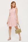 Dorothy Perkins Petite Blush Lace Fit And Flare Dress thumbnail 2