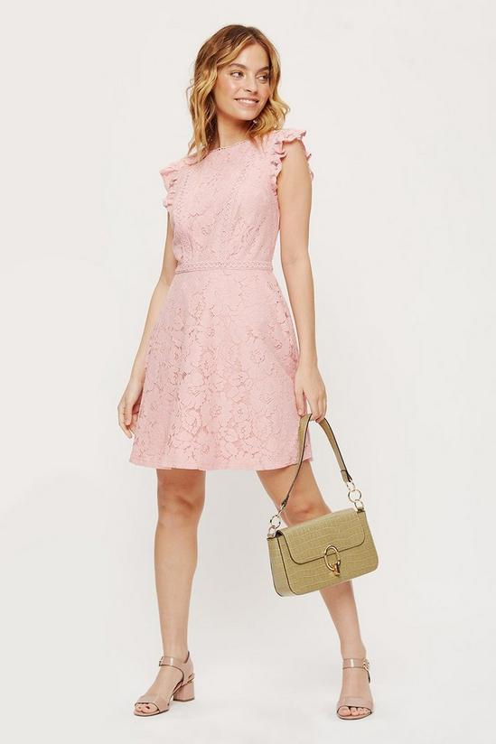 Dorothy Perkins Petite Blush Lace Fit And Flare Dress 2