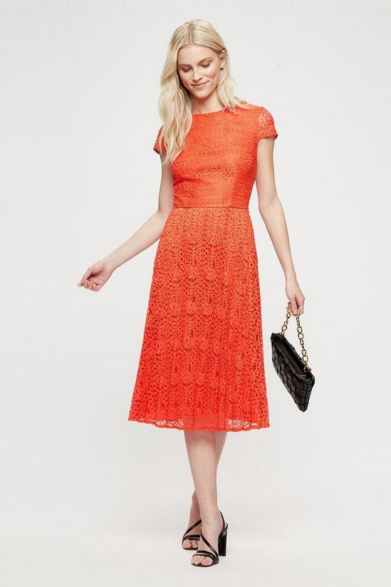 Dorothy Perkins Occasion Orange Pleated Lace Midi Dress 1