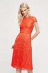 Dorothy Perkins Occasion Orange Pleated Lace Midi Dress thumbnail 2