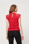 Dorothy Perkins Tall Red Lace Shell Top thumbnail 3