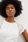 Dorothy Perkins Tall White Lace Shell Top thumbnail 4