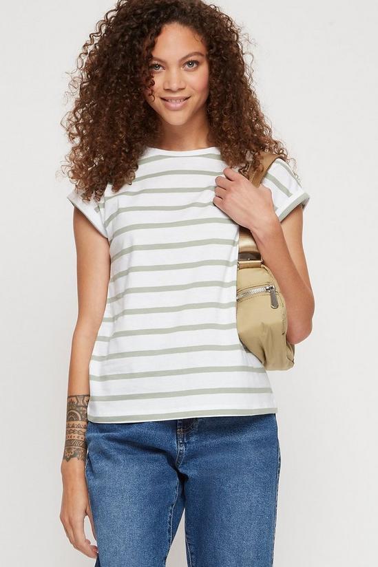 Dorothy Perkins Petite Sage Stripe Roll Sleeve T-shirt 1