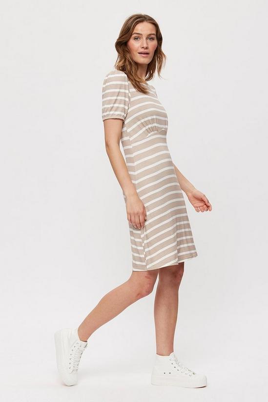 Dorothy Perkins Taupe Stripe Empire Fit And Flare Dress 2