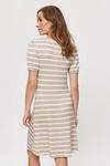 Dorothy Perkins Taupe Stripe Empire Fit And Flare Dress thumbnail 3