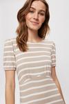 Dorothy Perkins Taupe Stripe Empire Fit And Flare Dress thumbnail 4