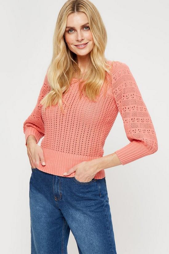 Dorothy Perkins Coral Pointelle Sleeve Square Neck Jumper 1