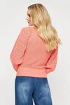 Dorothy Perkins Coral Pointelle Sleeve Square Neck Jumper thumbnail 3
