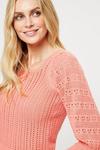Dorothy Perkins Coral Pointelle Sleeve Square Neck Jumper thumbnail 4