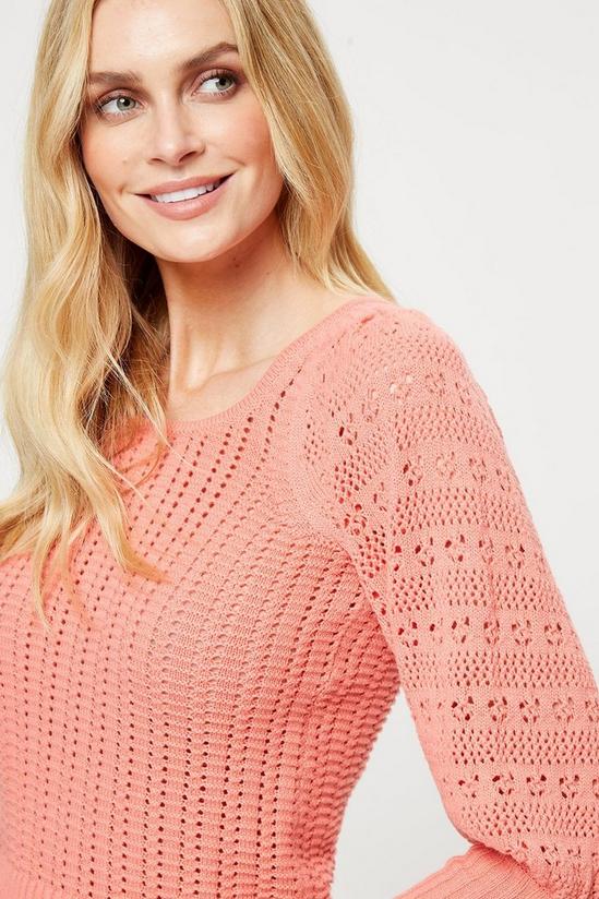 Dorothy Perkins Coral Pointelle Sleeve Square Neck Jumper 4