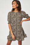 Dorothy Perkins Natural Leopard Mini Dress thumbnail 4