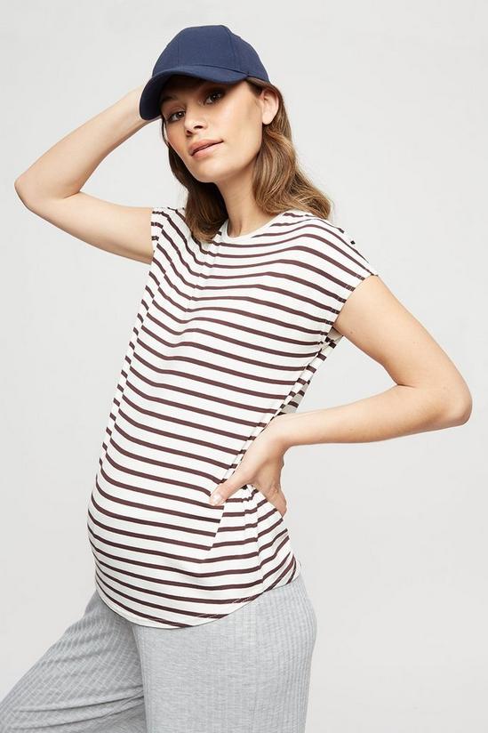 Dorothy Perkins Maternity White Stripe Short Sleeve T-shirt 1