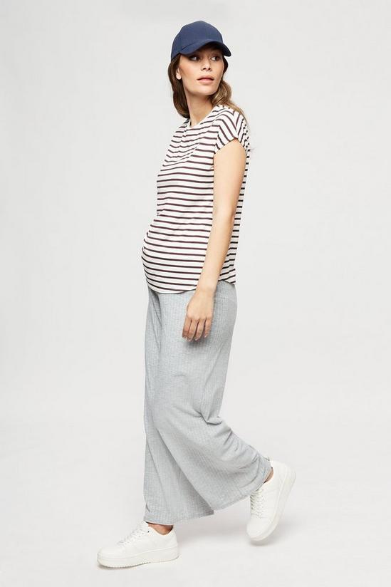 Dorothy Perkins Maternity White Stripe Short Sleeve T-shirt 2