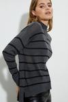 Dorothy Perkins Striped High Neck Fine Knitted Jumper thumbnail 1