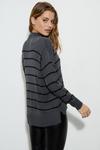 Dorothy Perkins Striped High Neck Fine Knitted Jumper thumbnail 3