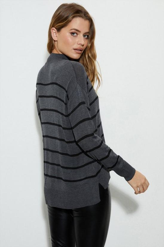 Dorothy Perkins Striped High Neck Fine Knitted Jumper 3