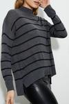 Dorothy Perkins Striped High Neck Fine Knitted Jumper thumbnail 4