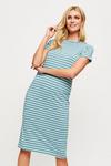 Dorothy Perkins Blue Stripe T-shirt Midi Dress thumbnail 1