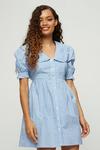Dorothy Perkins Petite Blue Gingham Frill Collar Dress thumbnail 1