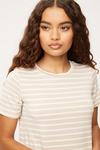 Dorothy Perkins Petite Neutral Stripe T Shirt Maxi Dress thumbnail 4