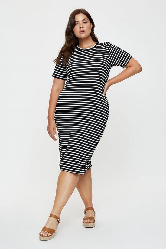 Dorothy Perkins Curve Mono Stripe T-shirt Midi Dress 1