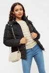 Dorothy Perkins Petite Quilted Short Padded Jacket thumbnail 1