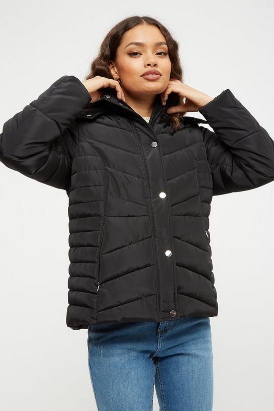 Dorothy Perkins Petite Quilted Short Padded Jacket 2