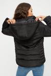 Dorothy Perkins Petite Quilted Short Padded Jacket thumbnail 3
