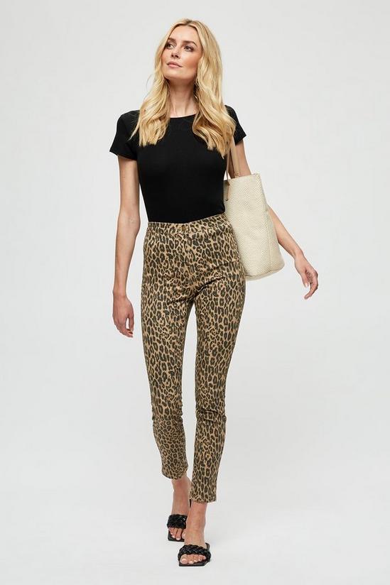 Dorothy Perkins Leopard Print Jeans 1