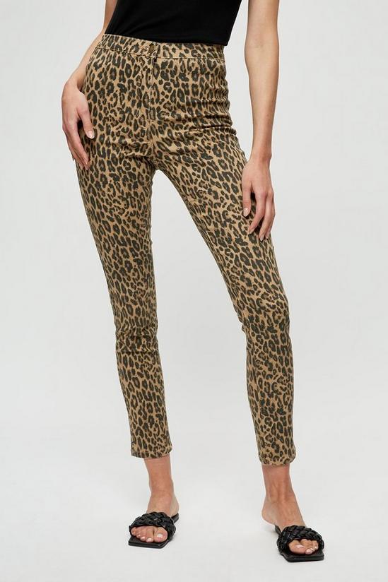 Dorothy Perkins Leopard Print Jeans 2