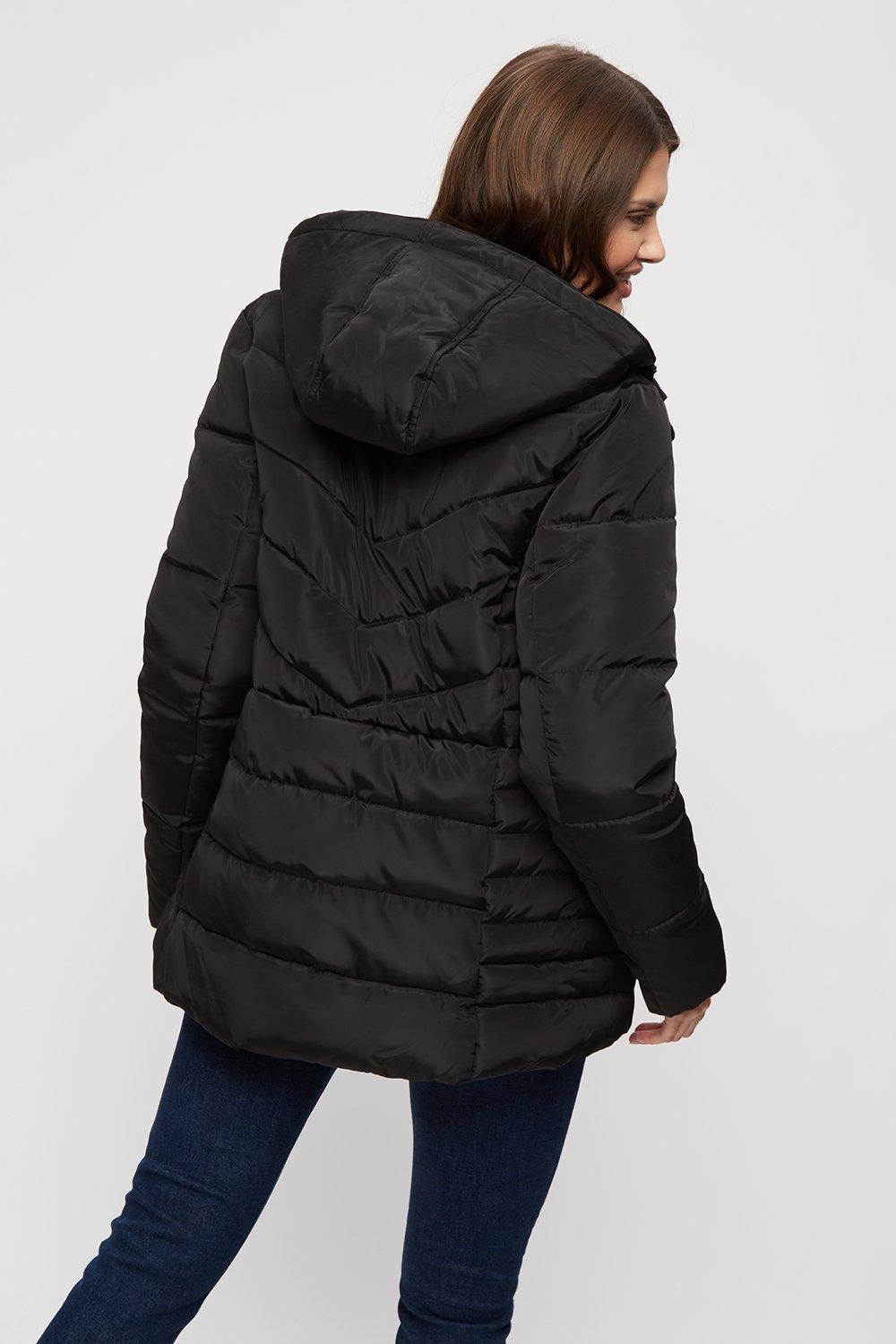 Jackets Coats Tall Black Short Padded Jacket Dorothy Perkins