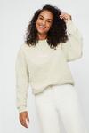 Dorothy Perkins Stone Amour Embroidered Sweatshirt thumbnail 1