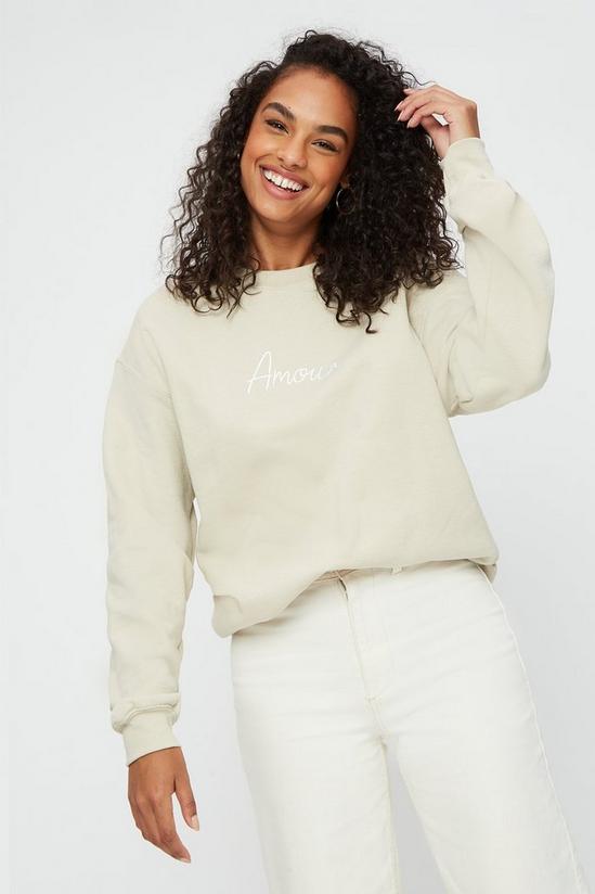 Dorothy Perkins Stone Amour Embroidered Sweatshirt 1