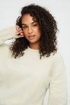 Dorothy Perkins Stone Amour Embroidered Sweatshirt thumbnail 4