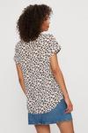 Dorothy Perkins Leopard Print Gold Button Roll Sleeve Top thumbnail 3