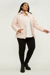 Dorothy Perkins Curve Quilted Short Padded Jacket thumbnail 1
