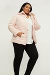 Dorothy Perkins Curve Quilted Short Padded Jacket thumbnail 2