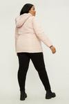 Dorothy Perkins Curve Quilted Short Padded Jacket thumbnail 3