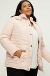 Dorothy Perkins Curve Quilted Short Padded Jacket thumbnail 4