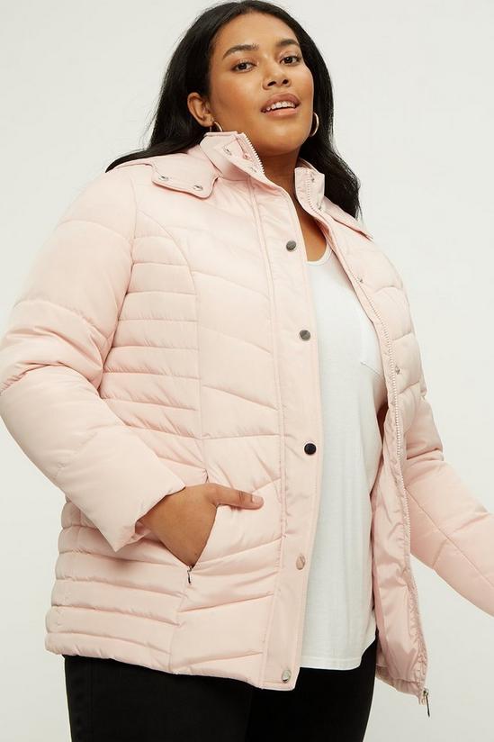 Dorothy Perkins Curve Quilted Short Padded Jacket 4