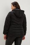 Dorothy Perkins Curve Black Quilted Short Padded Jacket thumbnail 3